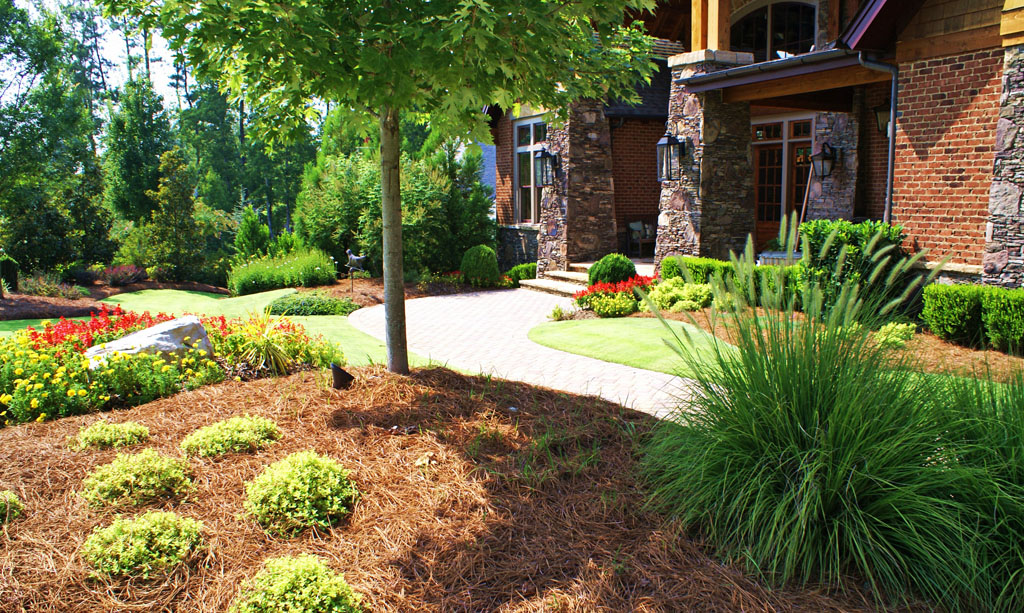 Groundcover Solutions, Ground Cover Solutions Atlanta